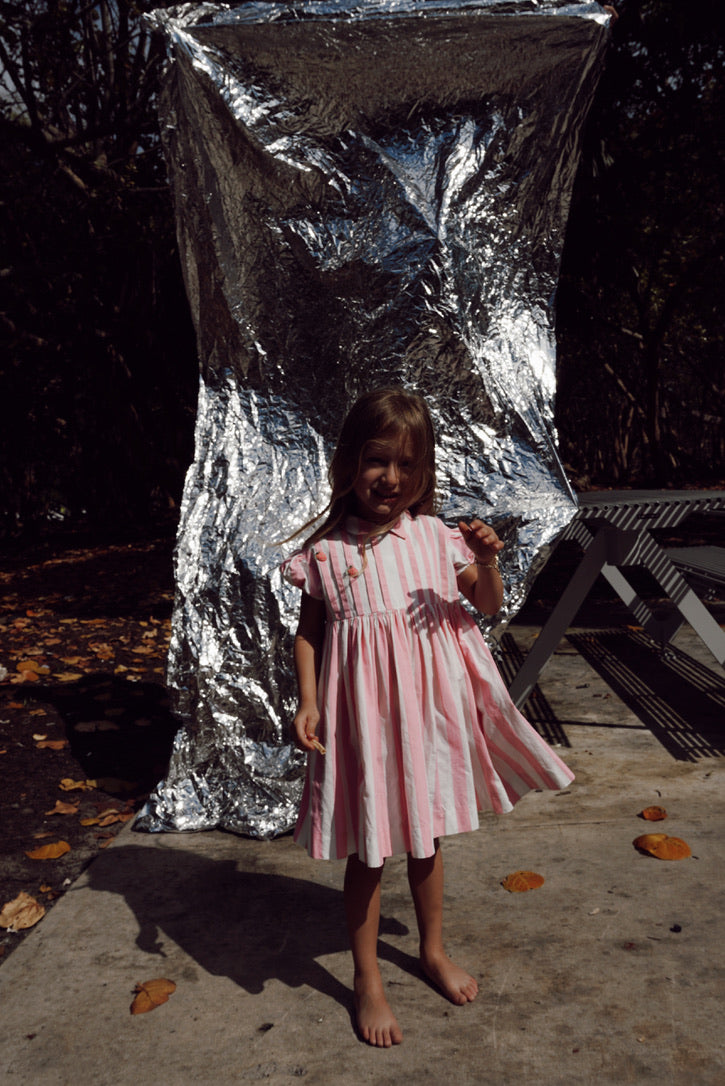 Pink Stripe Strawberry Dress
